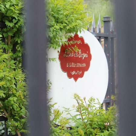 Libro Di Sogni - B&B Letterario กาแซร์ตาเวคเกีย ภายนอก รูปภาพ